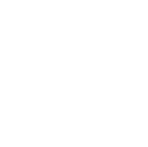 LOCAL COMMUNITY STABILIZATION AUTHORITY logo